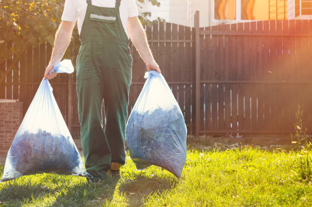Basement Cleanout Services in Alderson, WV