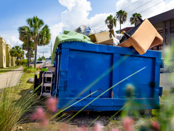Best Basement Cleanout Services  in Alderson, WV